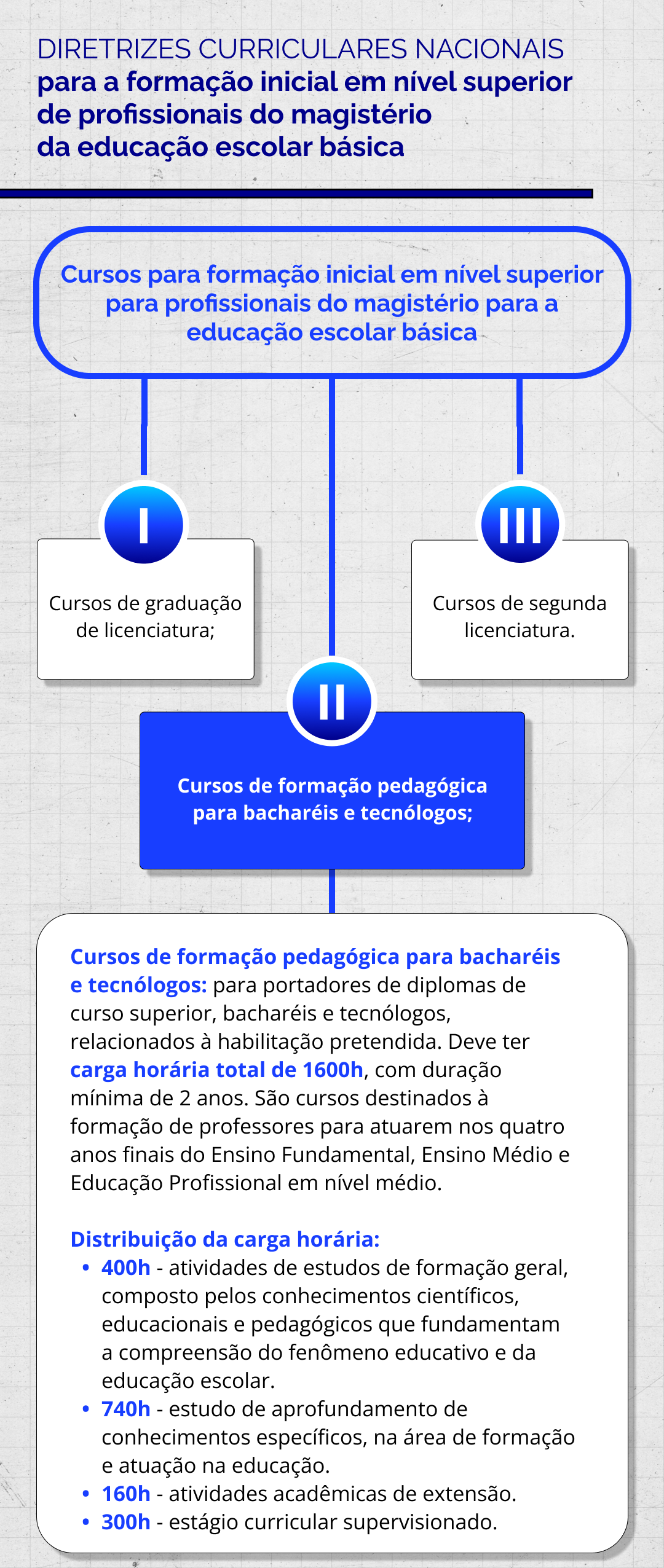 Diretrizes Curriculares Nacionais para a Formação Inicial em Nível Superior de Profissionais do Magistério da Educação Escolar Básica
