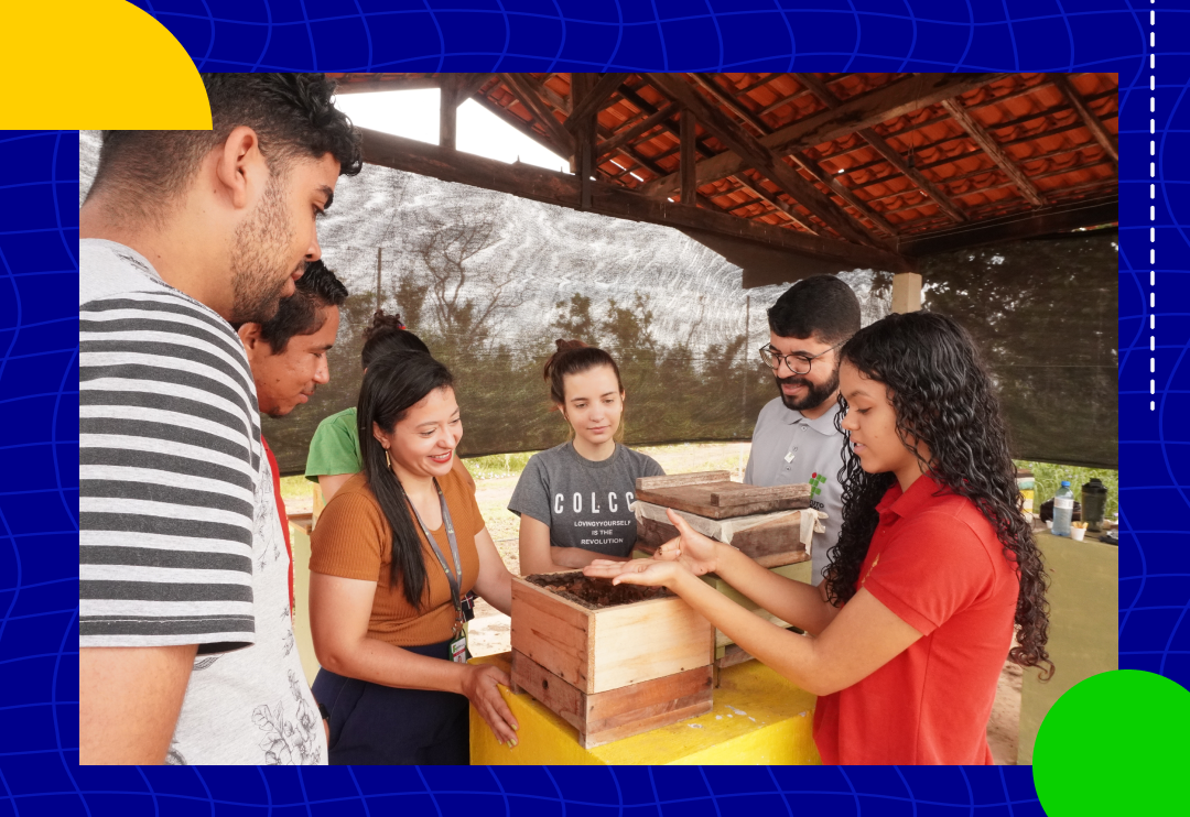card do curso